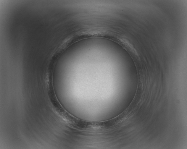 X0000074240260200608250849