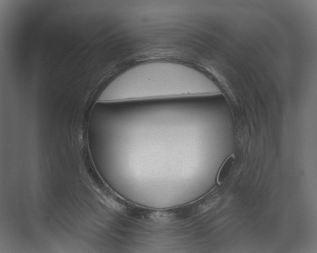 X0000074240261200608250849