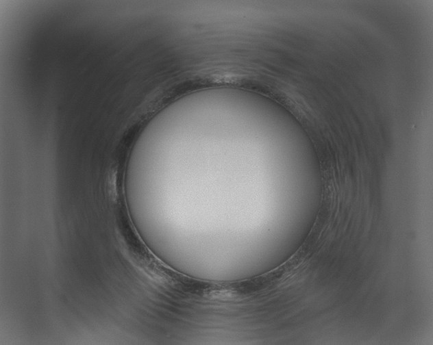 X0000074240262200608250849