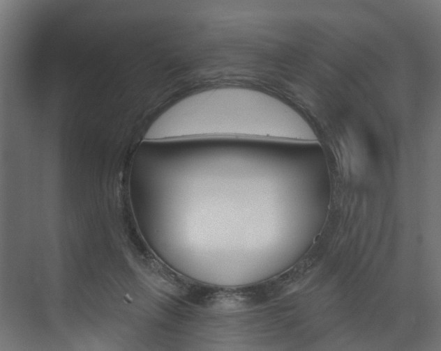 X0000074240263200608250849