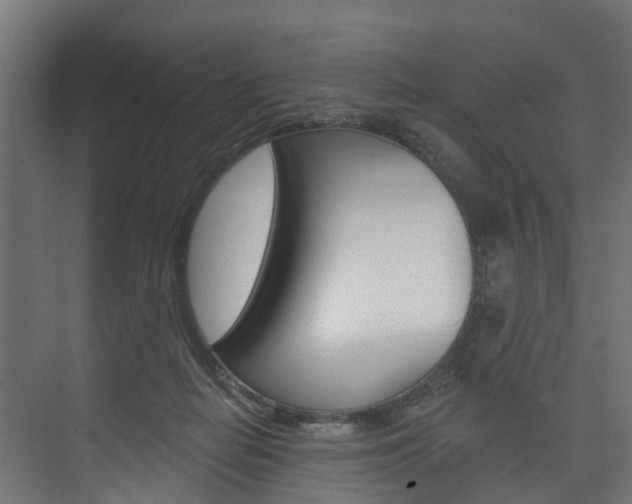 X0000074240266200608250850