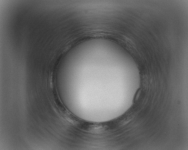 X0000074240267200608250850