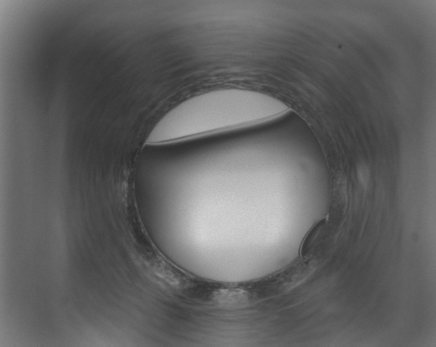 X0000074240271200608250850