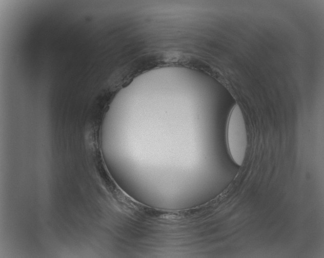 X0000074240272200608250850