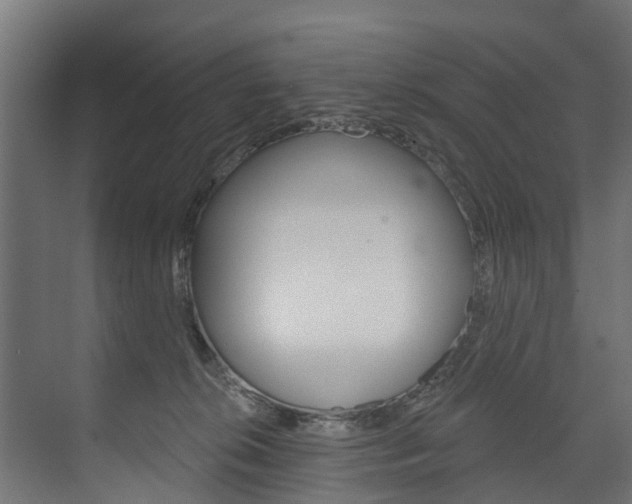 X0000074240276200608250850