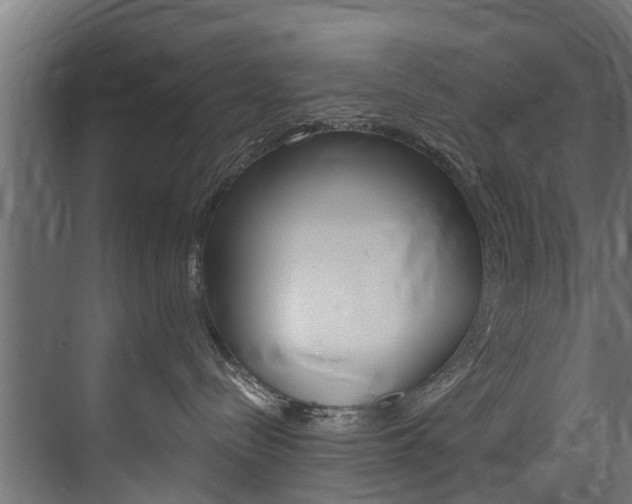 X0000074240288200608250850