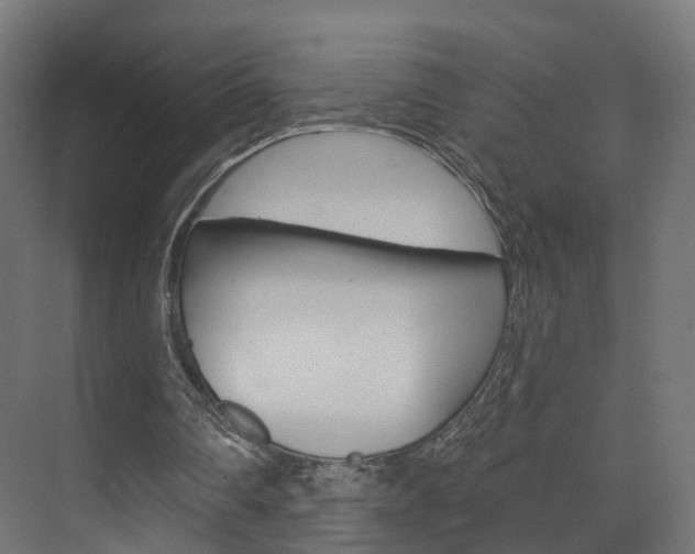 X0000074240290200608250849