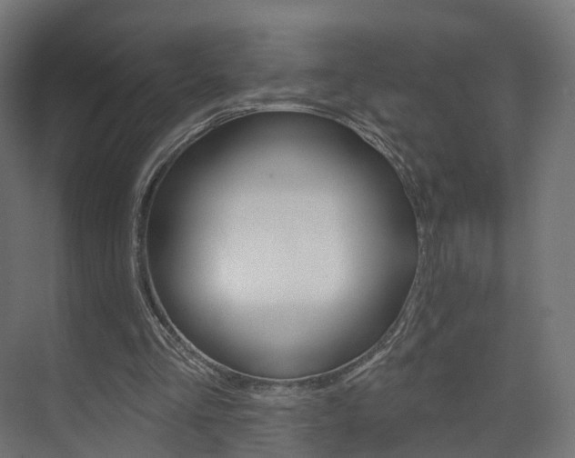 X0000074240293200608250849