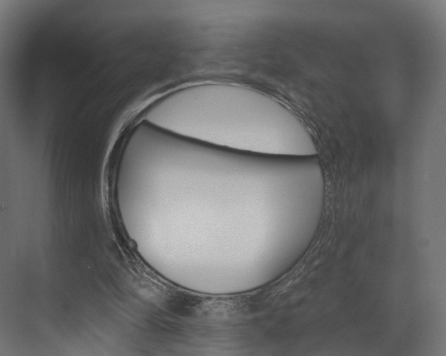 X0000074240294200608250849