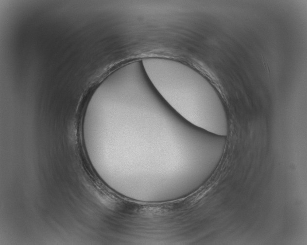 X0000074240298200608250849