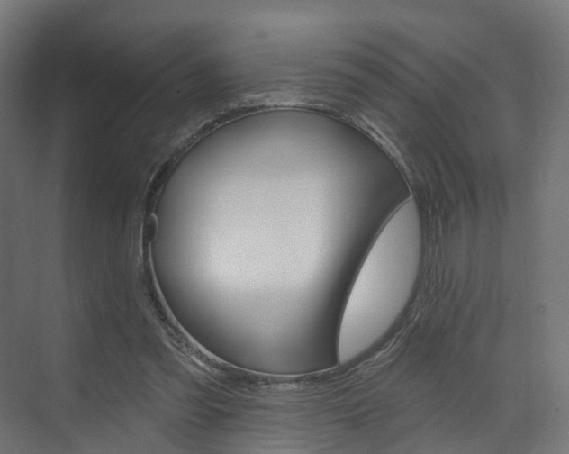 X0000074240301200608250849