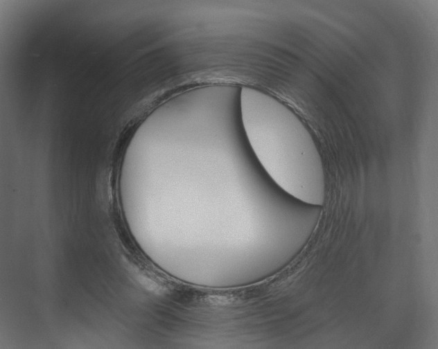 X0000074240302200608250849