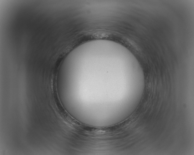 X0000074240315200608250849