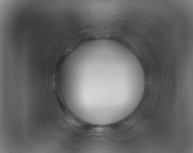 X0000074240323200608250849
