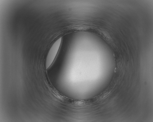 X0000074240325200608250848