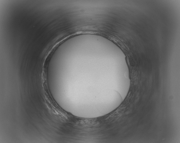 X0000074240338200608250848