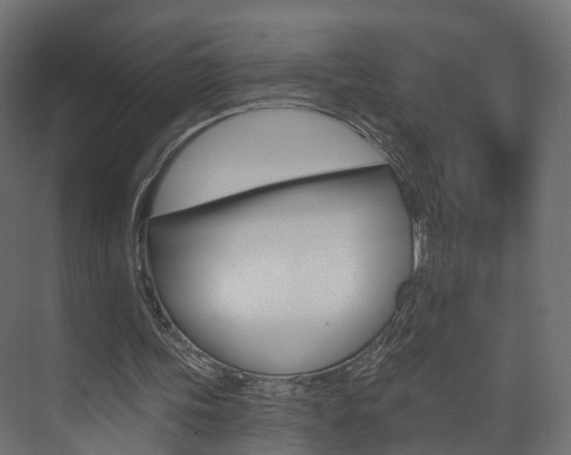 X0000074240339200608250848
