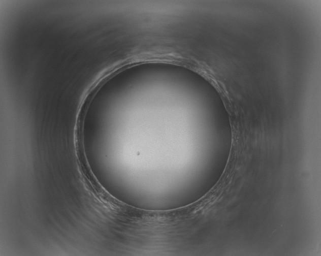 X0000074240340200608250848