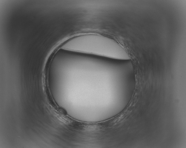 X0000074240342200608250848