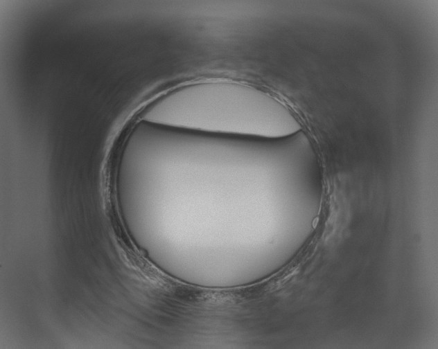 X0000074240343200608250848