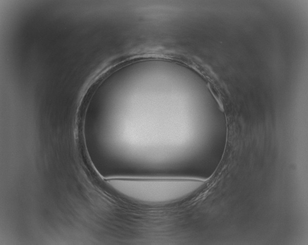X0000074240344200608250848