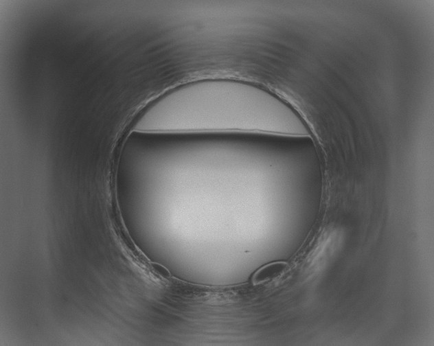 X0000074240345200608250848