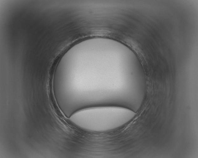 X0000074240346200608250848