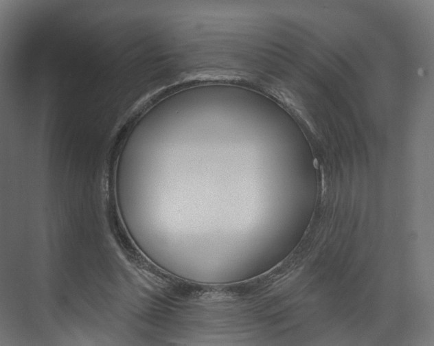 X0000074240348200608250848