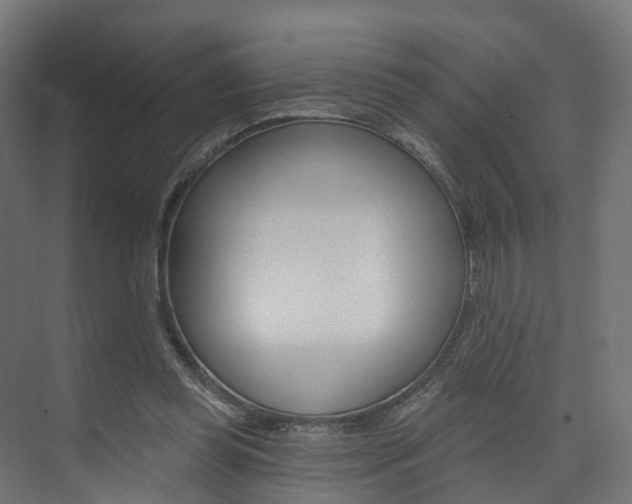X0000074240349200608250848