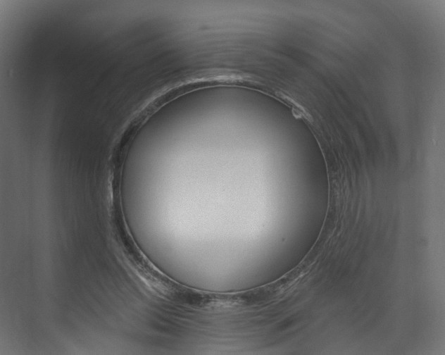 X0000074240350200608250848