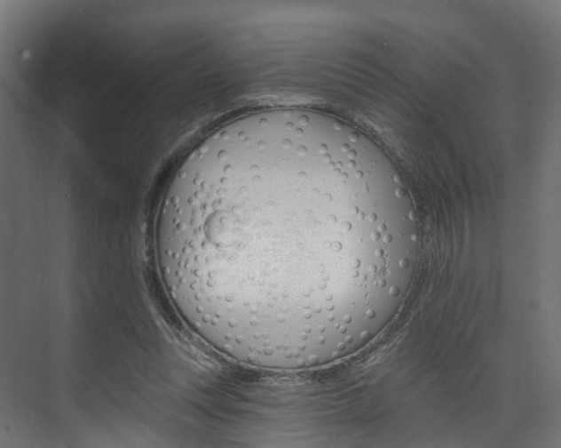 X0000074240351200608250848