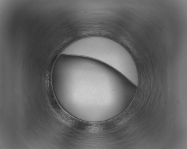 X0000074240356200608250848