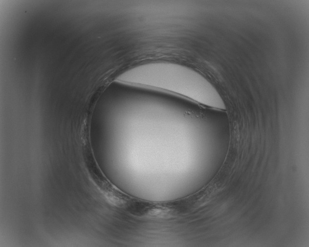 X0000074240364200608250848