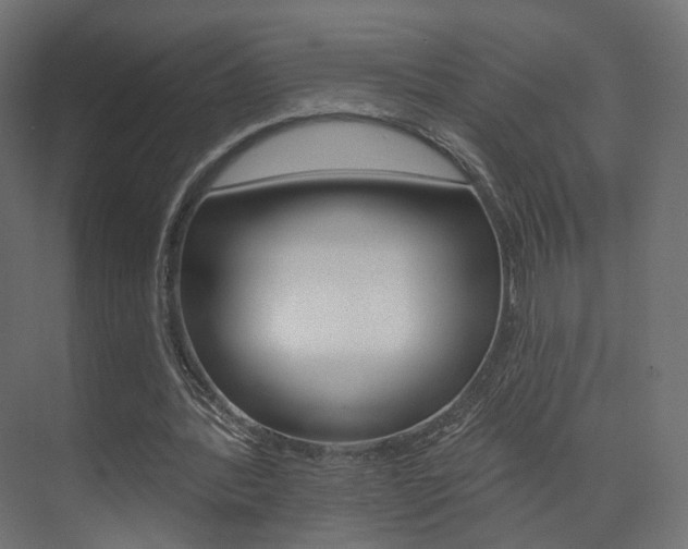 X0000074240388200608250847