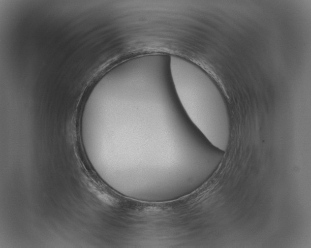 X0000074240390200608250847