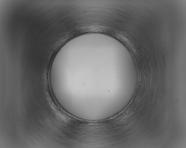 X0000074240394200608250847
