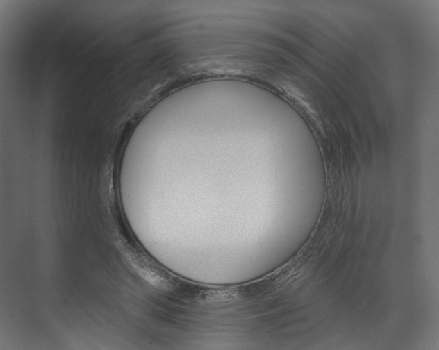 X0000074240398200608250847