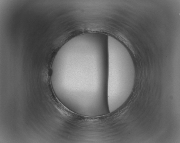 X0000074240401200608250847