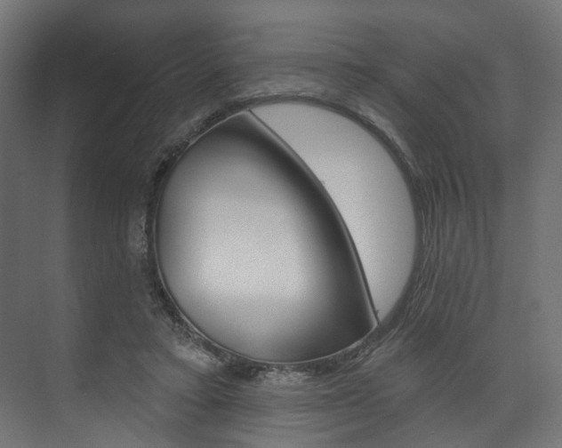 X0000074240403200608250847