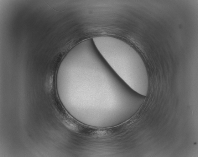 X0000074240406200608250847