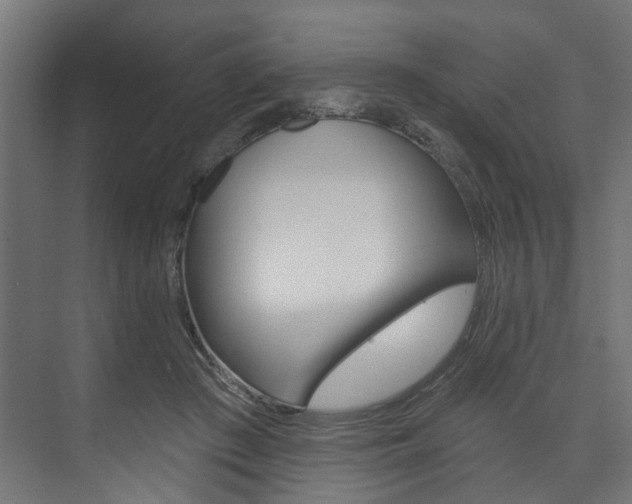 X0000074240409200608250847