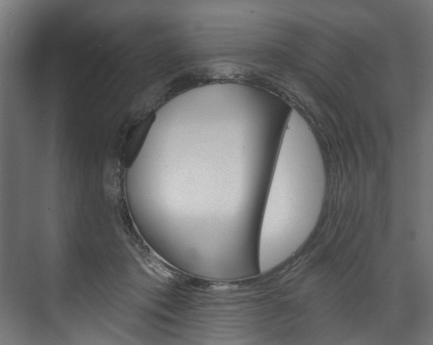 X0000074240413200608250847