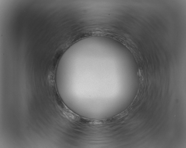 X0000074240419200608250847
