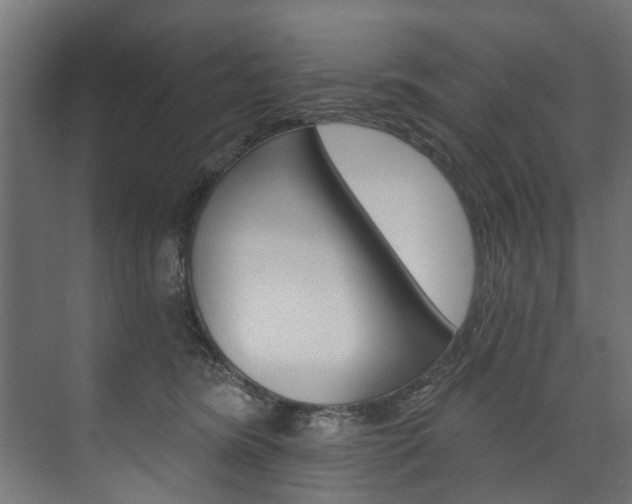 X0000074240420200608250847