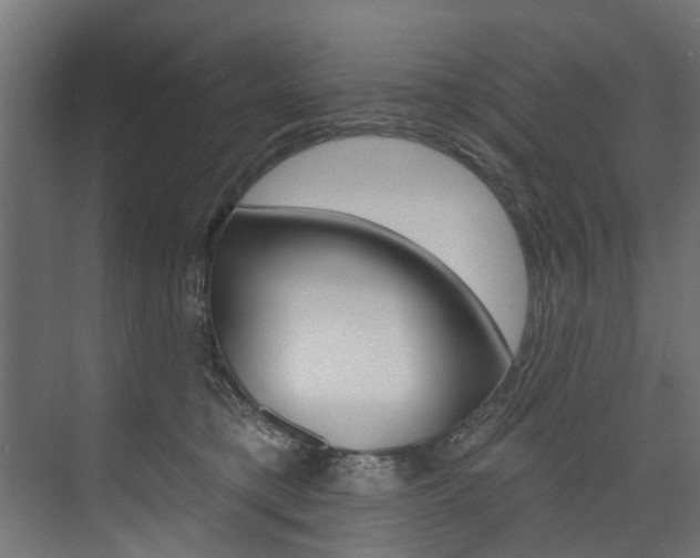 X0000074240421200608250847