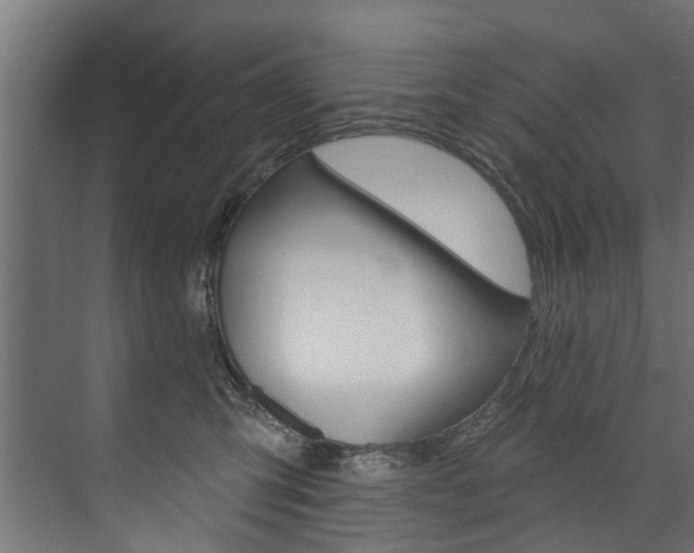 X0000074240423200608250847