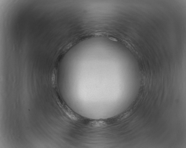 X0000074240427200608250847