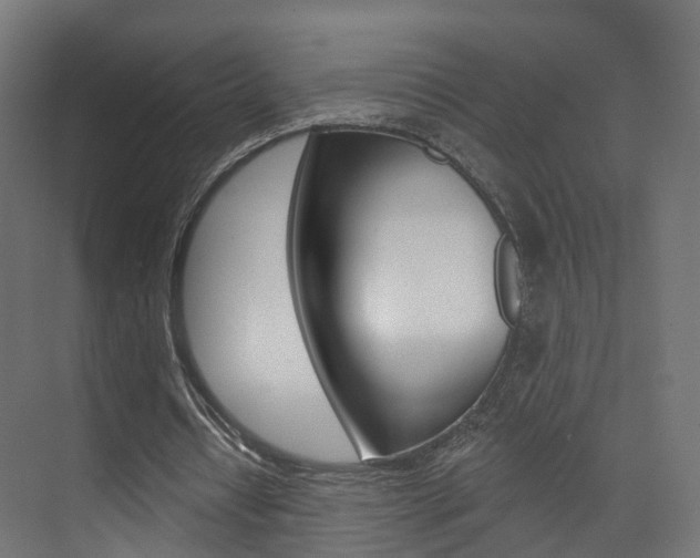 X0000074240434200608250846