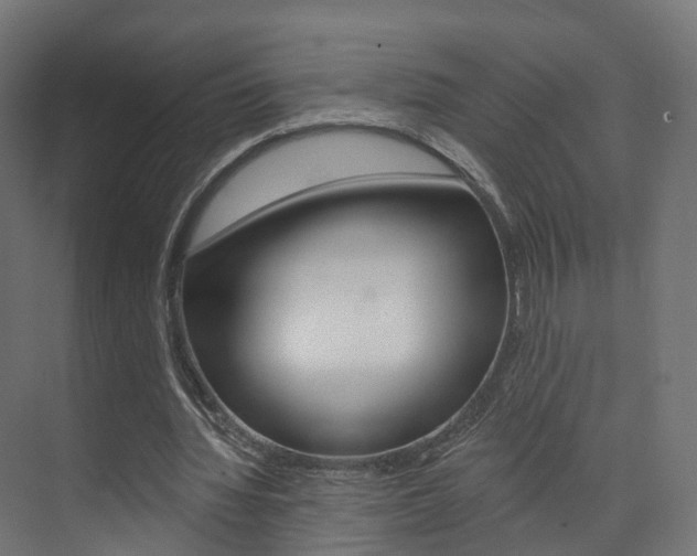 X0000074240436200608250846