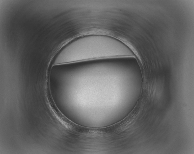 X0000074240437200608250846